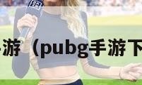 pubg手游（pubg手游下载安装）