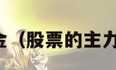 股市主力资金（股票的主力资金怎么看）