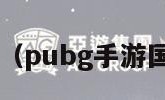 pubg手游（pubg手游国际服下载）