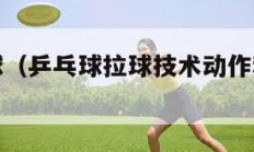 乒乓球拉球（乒乓球拉球技术动作和训练方法）