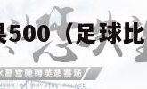 足球比赛结果500（足球比赛结果500查询欧洲杯）