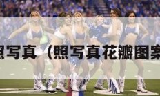 照写真（照写真花瓣图案）