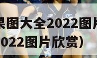 家庭装修效果图大全2022图片（家庭装修效果图大全2022图片欣赏）